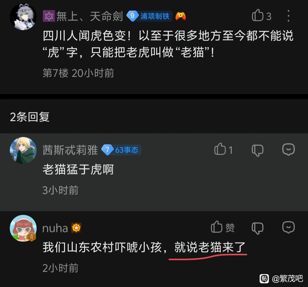 老猫